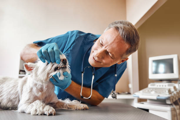 Best Pediatric Emergency Dentist in Ecru, MS
